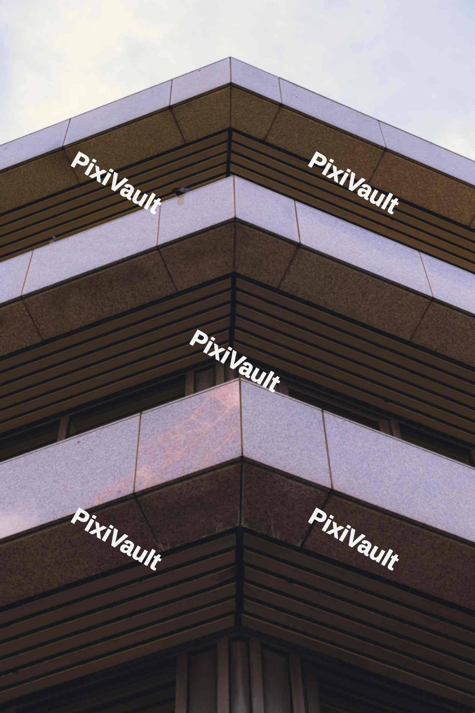 Estate Symmetry